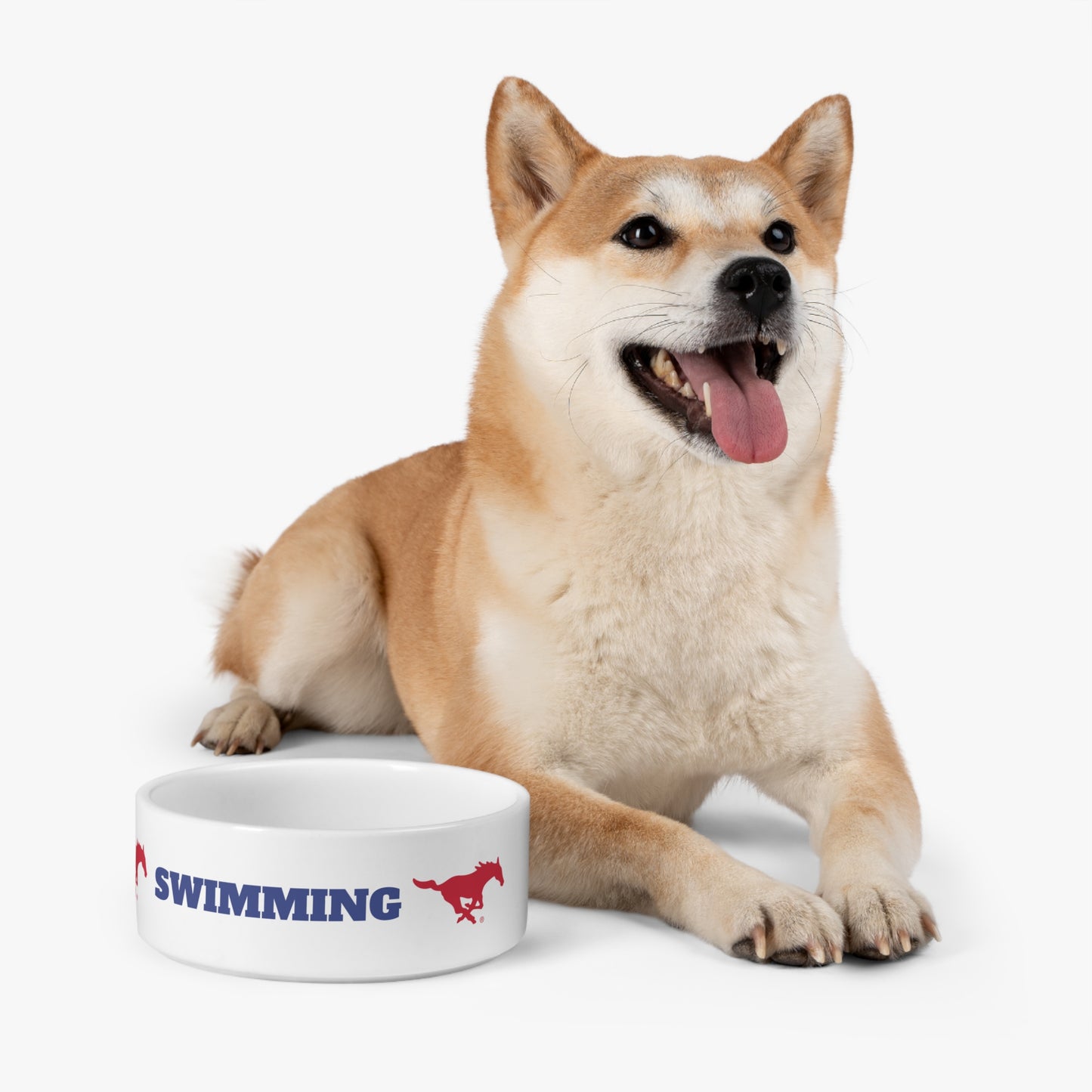 Dog Bowl Fundraising Pet Bowl